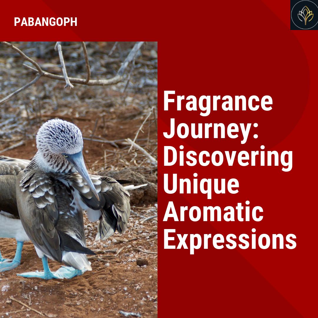 Fragrance Journey Discovering Unique Aromatic Expressions PabangoPH