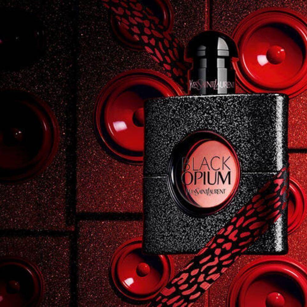 Yves Saint Laurent Perfume Collection - PabangoPH