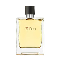 Hermès Terre d'Hermes EDT For Men 100ml - PabangoPH