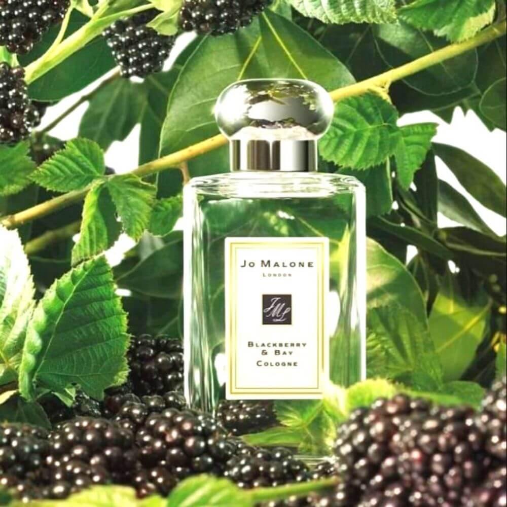 Jo Malone Blackberry & Bay For Women 100ml - PabangoPH