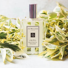 Jo Malone Lime Basil & Mandarin (Unisex) 100ml - PabangoPH