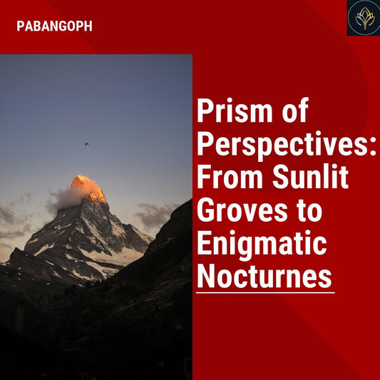 Prism of Perspectives: From Sunlit Groves to Enigmatic Nocturnes