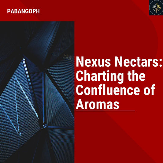 Nexus Nectars: Charting the Confluence of Aromas