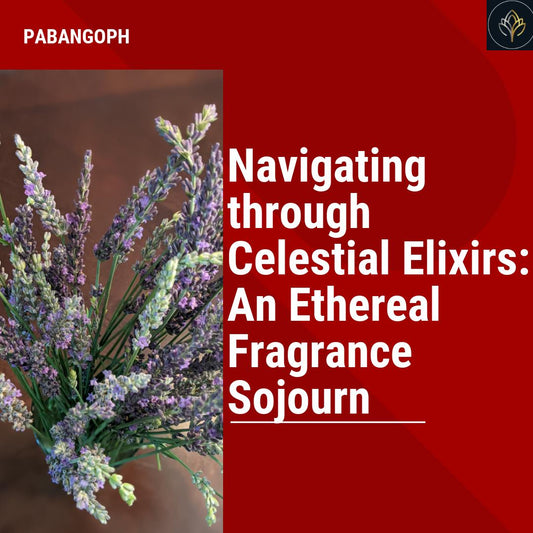 Navigating through Celestial Elixirs: An Ethereal Fragrance Sojourn