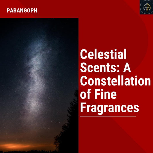 Celestial Scents: A Constellation of Fine Fragrances