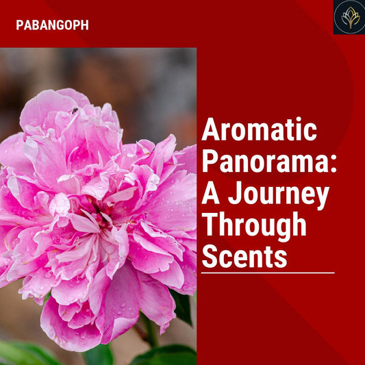 Aromatic Panorama: A Journey Through Scents