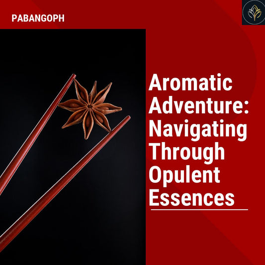 Aromatic Adventure: Navigating Through Opulent Essences