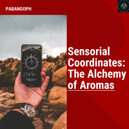 Sensorial Coordinates: The Alchemy of Aromas