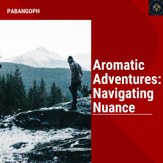 Aromatic Adventures: Navigating Nuance