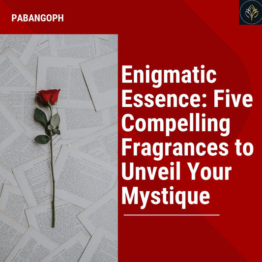 Enigmatic Essence: Five Compelling Fragrances to Unveil Your Mystique