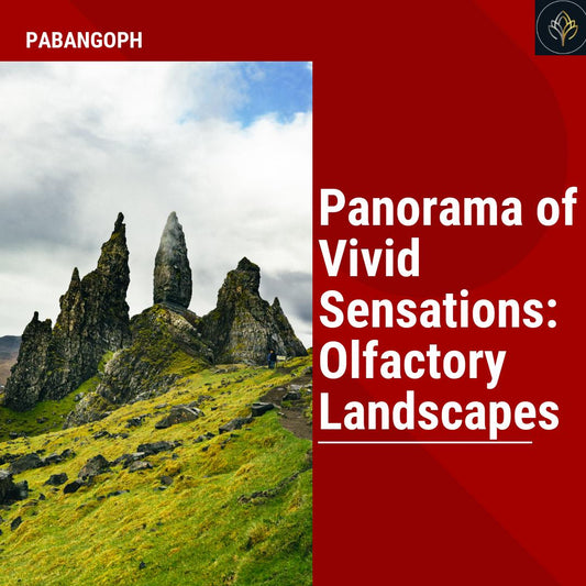 Panorama of Vivid Sensations: Olfactory Landscapes