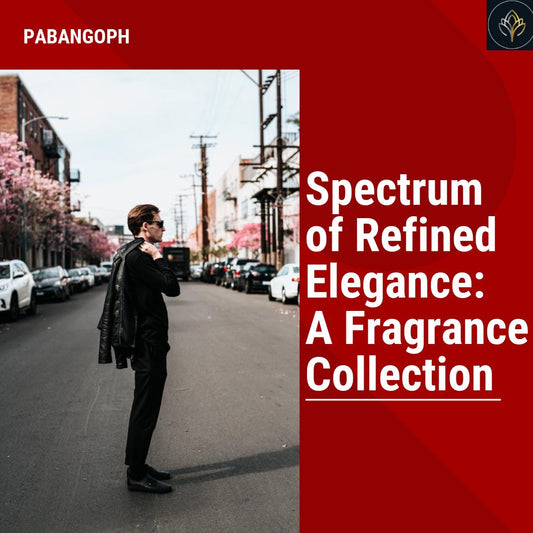 Spectrum of Refined Elegance: A Fragrance Collection