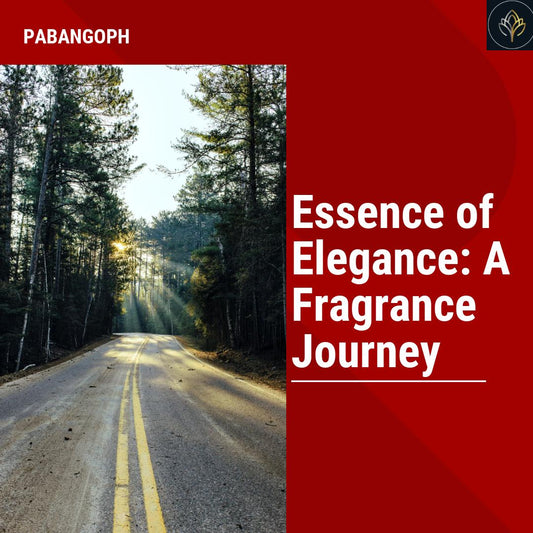 Essence of Elegance: A Fragrance Journey