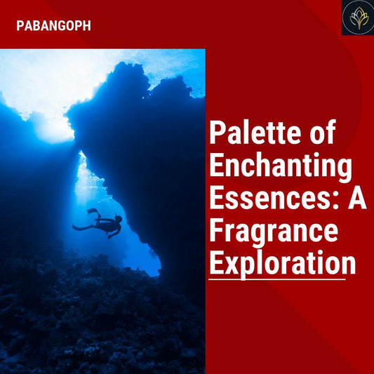 Palette of Enchanting Essences: A Fragrance Exploration