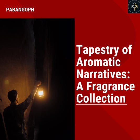 Tapestry of Aromatic Narratives: A Fragrance Collection