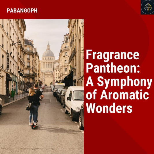 Fragrance Pantheon: A Symphony of Aromatic Wonders