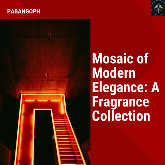 Mosaic of Modern Elegance: A Fragrance Collection