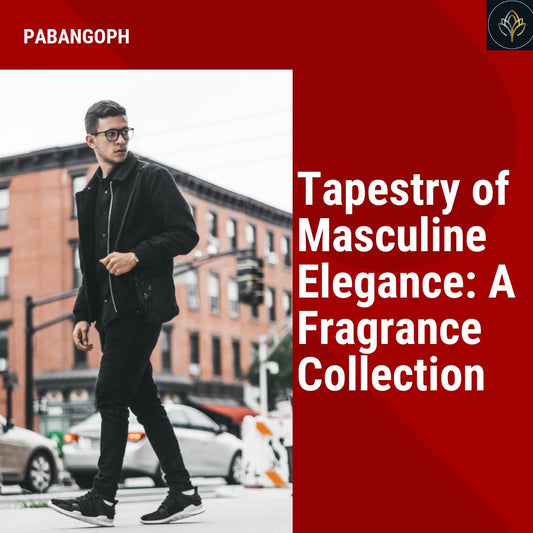 Tapestry of Masculine Elegance: A Fragrance Collection