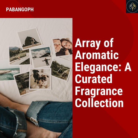 Array of Aromatic Elegance: A Curated Fragrance Collection