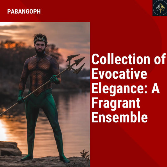 Collection of Evocative Elegance: A Fragrant Ensemble