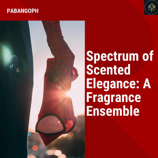 Spectrum of Scented Elegance: A Fragrance Ensemble