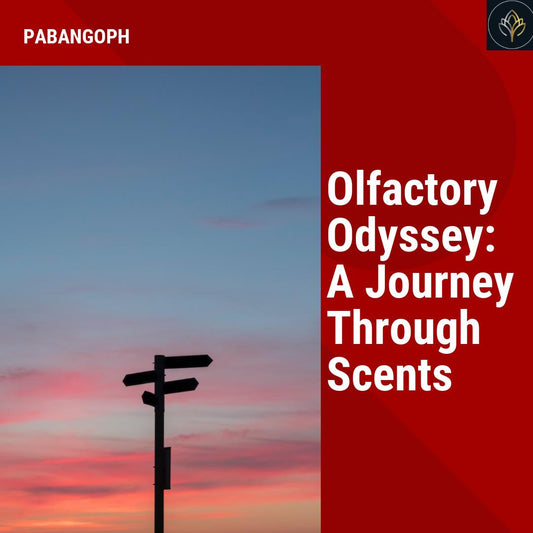 Olfactory Odyssey: A Journey Through Scents