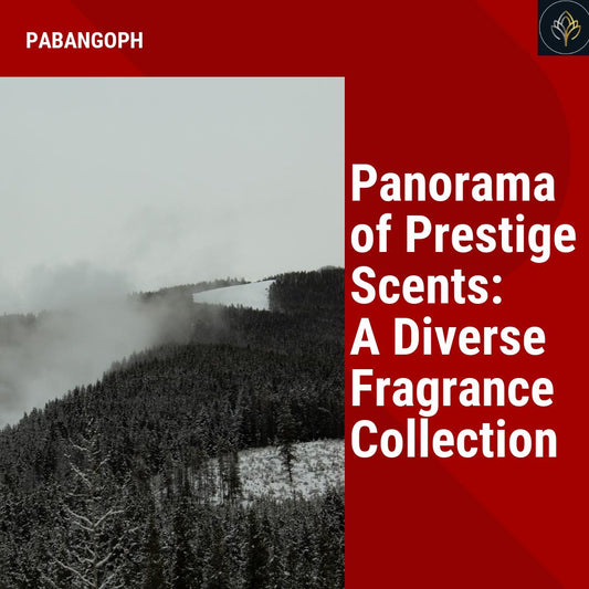 Panorama of Prestige Scents: A Diverse Fragrance Collection