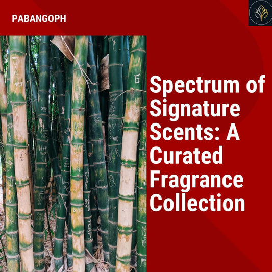 Spectrum of Signature Scents: A Curated Fragrance Collection