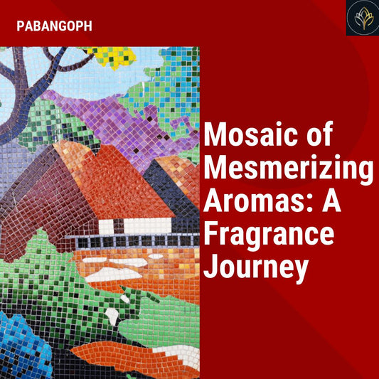 Mosaic of Mesmerizing Aromas: A Fragrance Journey