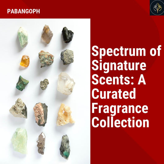 Spectrum of Signature Scents: A Curated Fragrance Collection