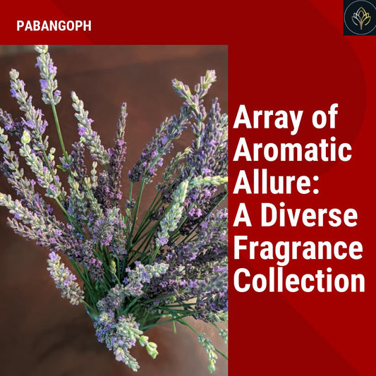 Array of Aromatic Allure: A Diverse Fragrance Collection