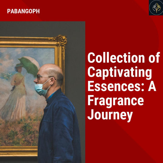 Collection of Captivating Essences: A Fragrance Journey