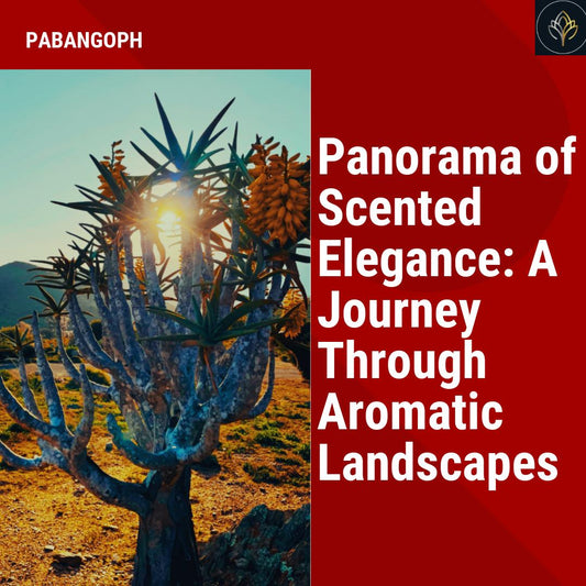 Panorama of Scented Elegance: A Journey Through Aromatic Landscapes