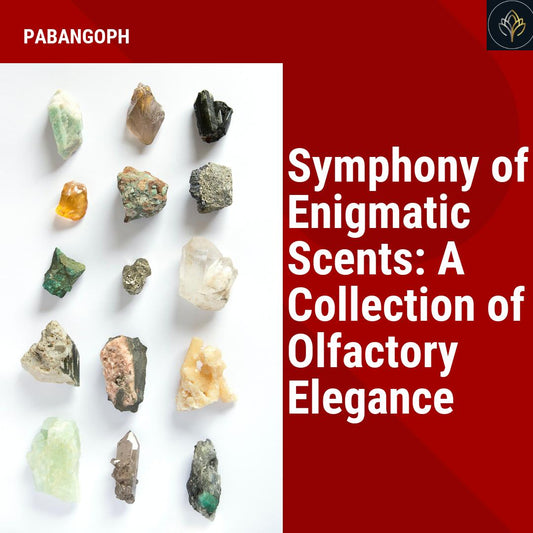 Symphony of Enigmatic Scents: A Collection of Olfactory Elegance