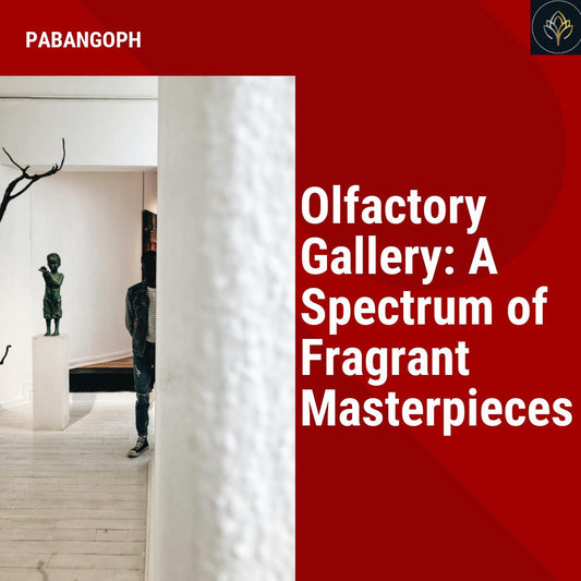 Olfactory Gallery: A Spectrum of Fragrant Masterpieces