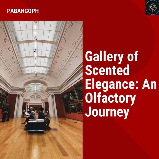 Gallery of Scented Elegance: An Olfactory Journey