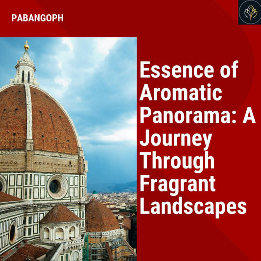 Essence of Aromatic Panorama: A Journey Through Fragrant Landscapes