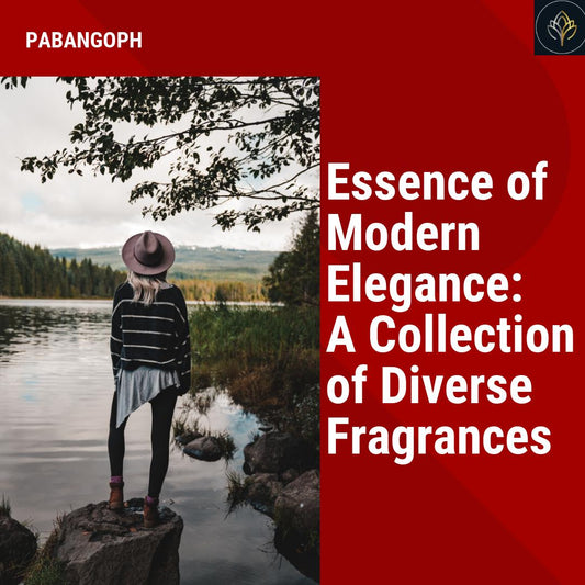 Essence of Modern Elegance: A Collection of Diverse Fragrances