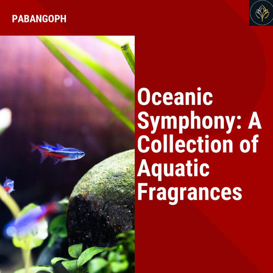 Oceanic Symphony: A Collection of Aquatic Fragrances