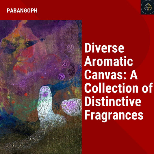 Diverse Aromatic Canvas: A Collection of Distinctive Fragrances