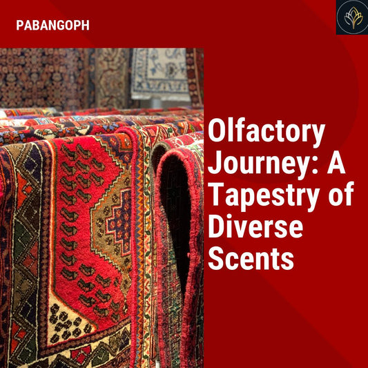 Olfactory Journey: A Tapestry of Diverse Scents