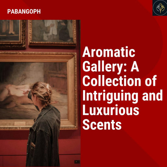 Aromatic Gallery: A Collection of Intriguing and Luxurious Scents