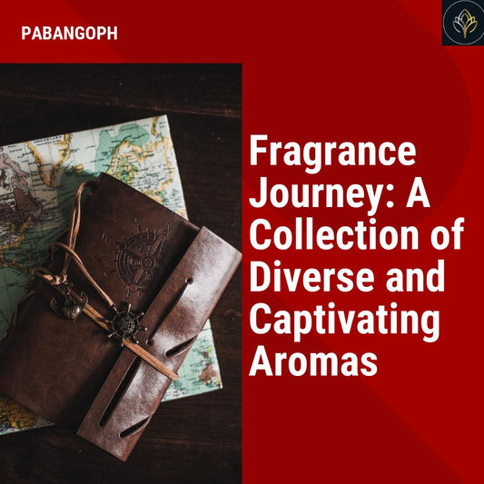 Fragrance Journey: A Collection of Diverse and Captivating Aromas