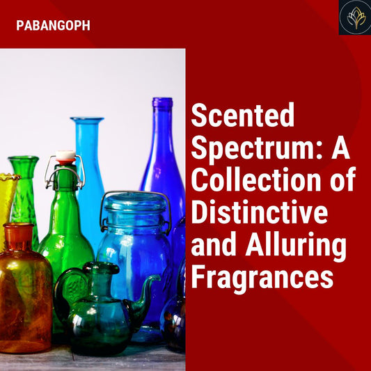 Scented Spectrum: A Collection of Distinctive and Alluring Fragrances