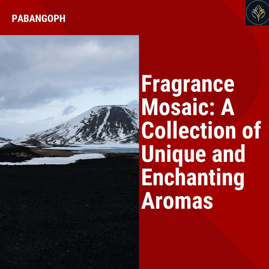 Fragrance Mosaic: A Collection of Unique and Enchanting Aromas