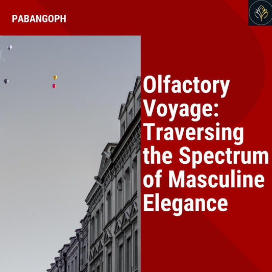 Olfactory Voyage: Traversing the Spectrum of Masculine Elegance