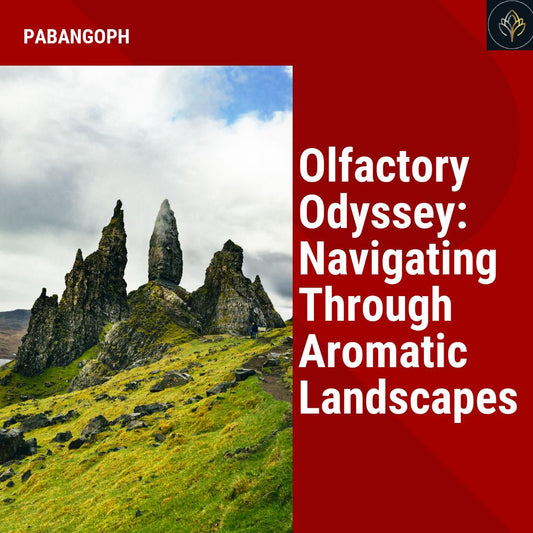 Olfactory Odyssey: Navigating Through Aromatic Landscapes