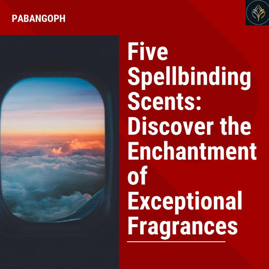 Five Spellbinding Scents: Discover the Enchantment of Exceptional Fragrances