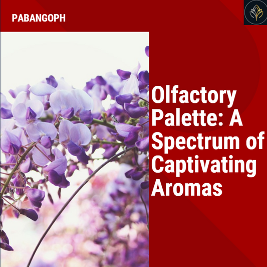 Olfactory Palette: A Spectrum of Captivating Aromas