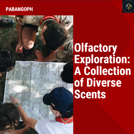 Olfactory Exploration: A Collection of Diverse Scents